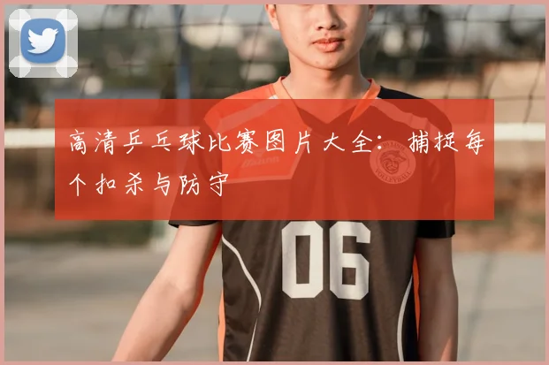 高清乒乓球比赛图片大全:捕捉每个扣杀与防守