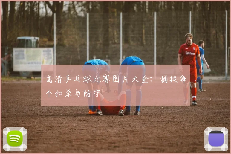 高清乒乓球比赛图片大全:捕捉每个扣杀与防守